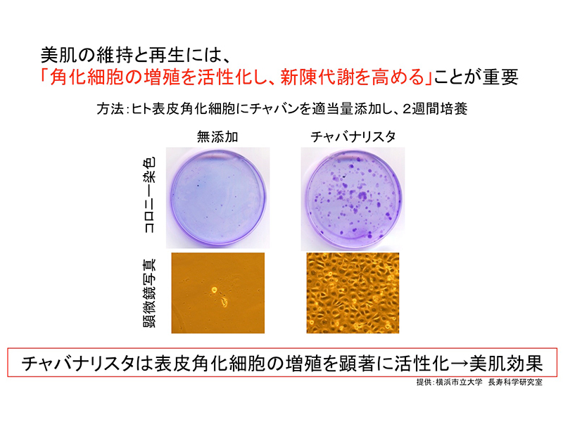 表皮角化細胞の活性化　-肌環境を活性化し、イキイキした肌へ-