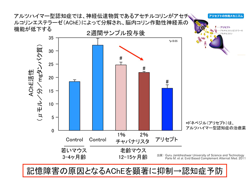 マウスを用いた記憶力試験2（脳内AChEの活性測定）